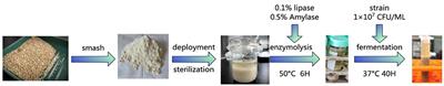 Study on the preparation process of quinoa anti-hypertensive peptide and its stability